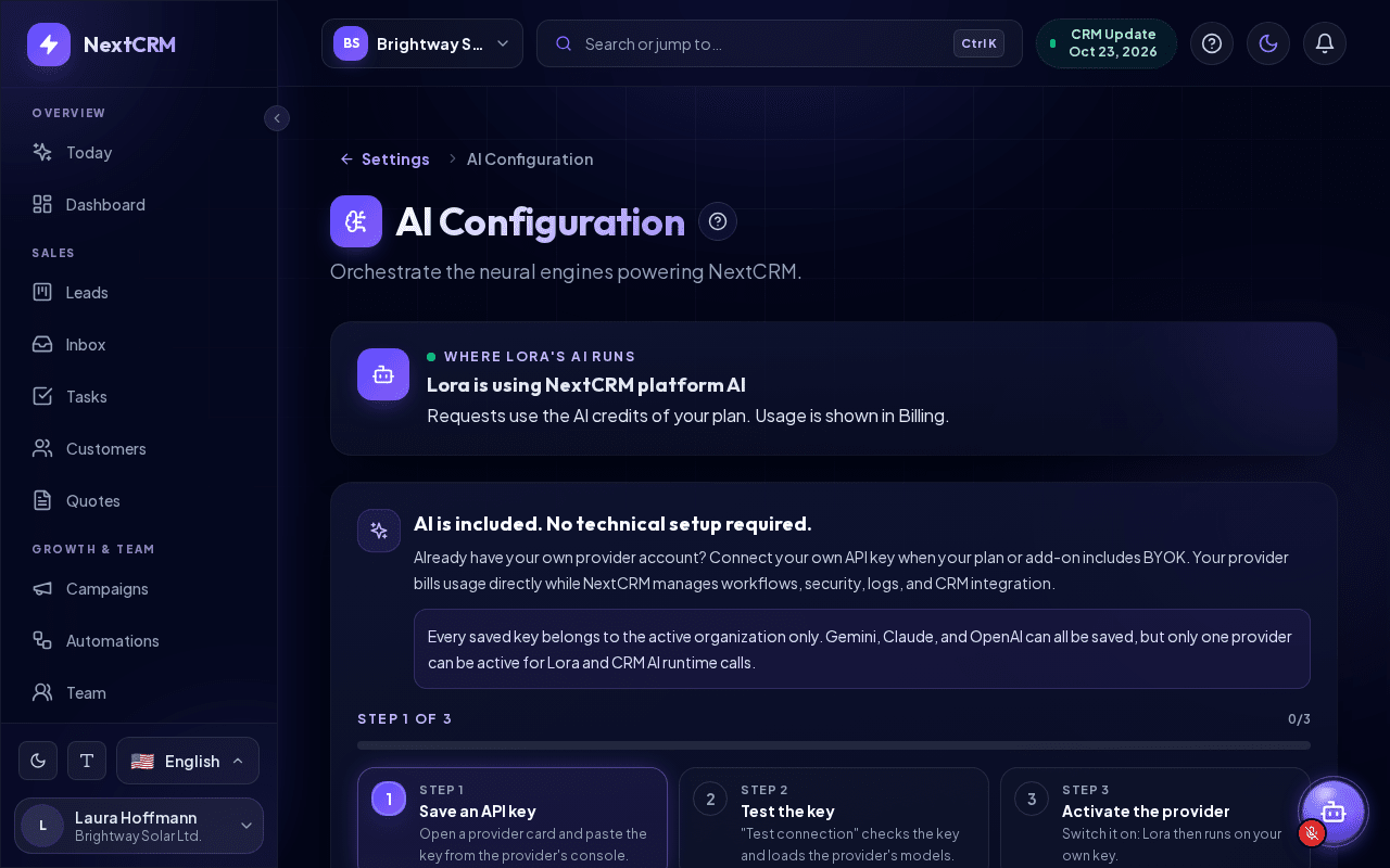 The AI Configuration page with the four provider cards